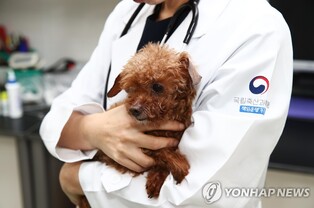 농식품부, 동물보건사 시험 합격자 727명 발표