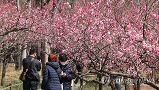 '봄이 왔네' 전국 유명산·유원지 상춘객 웃음꽃 '활짝'