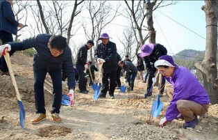 퍼플섬 더 보랏빛으로 물든다…신안군, 식목 행사