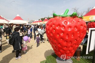 Nonsan Strawberry Festival to be crowded after being held for the first time in 4 years