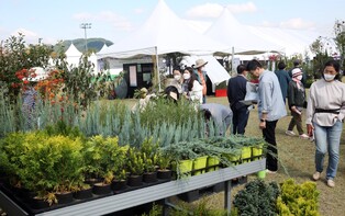 세종전의묘목축제 24∼26일 열려…전시·체험 프로그램 풍성