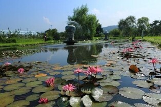 양평 주민들, 세미원 '국가정원' 승격 위해 뭉쳤다…추진단 발족