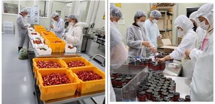 딸기와 빵의 만남…천안서 25∼26일 '베리베리 빵빵데이' 행사