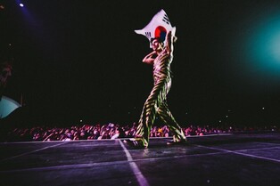 Harry Styles with Taegeukgi "Happy to come to Korea"