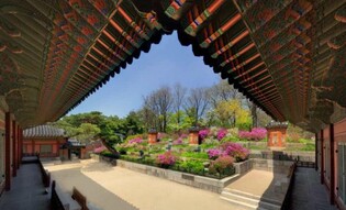 "3월 말∼4월 초 절정"…궁궐·조선왕릉에서 봐야 할 봄꽃은