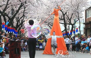 "벚꽃 필 무렵…사랑이야기 품은 제주 '홍랑길' 어때요?"
