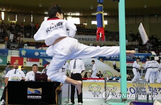 성남시, '세계태권도 한마당' 유치…오는 7월 개최