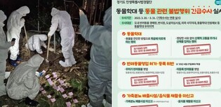 육견농장서 개 사체·뼈무덤 발견…경기광주 동물학대 현장 적발