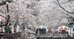 창원시, 진해군항제 기간 24시간 특별재난안전상황실 운영
