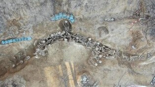 Remains of some 40 Korean War massacre victims unearthed in Asan