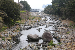 [K-Geography] Stream on Jeju Island