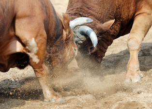 [K-Geography] Bullfighting