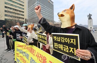 양평 주택서 개·고양이 1천256마리 굶겨 죽인 60대 구속 기소