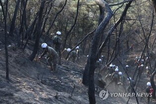 (LEAD) Seoul wildfire completely extinguished after 25 hours