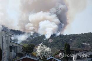 [논&설] 불에 그을린 인왕산과 치마바위를 바라보며