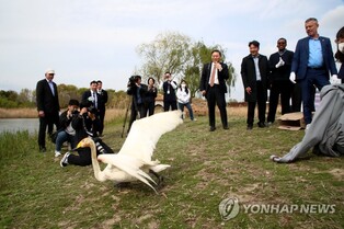 [부산엑스포 실사] 첫 방문지 을숙도…'자연과의 지속 가능성' 시찰