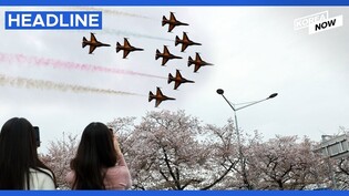 Black Eagles aerobatic team performs at cherry blossom festival