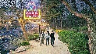 [강원소식] 강원대, 백령 봄꽃축제 'Playlist:상상해, 봄' 개최
