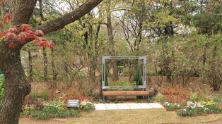 Seoul Forest creates 'Winter Forest' using benches donated by fan cub of Winter of aespa