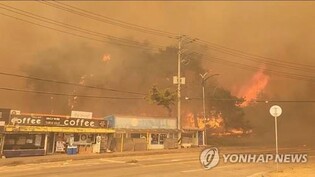(LEAD) Wildfires destroy some 100 homes in Gangneung amid typhoon-class strong winds