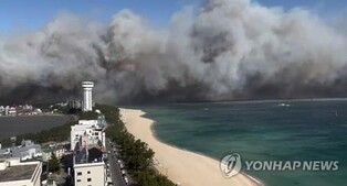(2nd LD) Wildfires destroy 40 homes, massive woodland on east coast amid typhoon-class strong winds