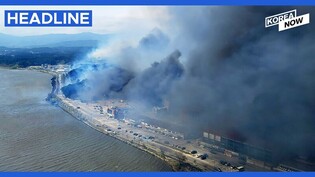 Wildfires destroy 70 homes, massive woodland on east coast amid typhoon-class strong winds