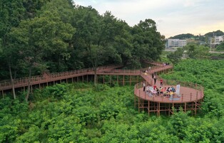 순창군 강천산에 10㎞ 오색단풍길 산책로 조성