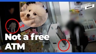S. Korea’s unmanned stores are getting robbed