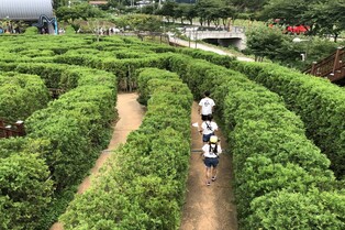 해남군, 땅끝·우수영관광지·두륜미로파크 무료 개방