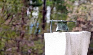 [굽이굽이 별천지] ② 춘천 서면 '박사마을'…여덟 집마다 한 집꼴 배출