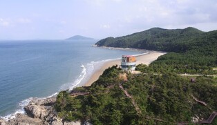 BTS’ Suga-recommended city of Danjin to receive spotlight