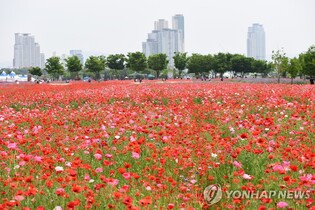 울산시, 광역지자체 처음으로 국제생태관광상 받아
