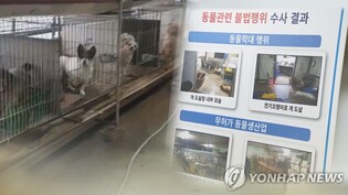 주택서 개·고양이 1천256마리 굶겨 죽인 60대에 징역 3년 구형