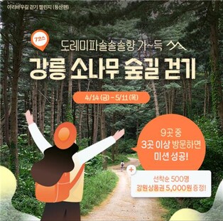 "강릉 아리바우길 걷기 여행으로 산불 피해지역 관광 활성화"