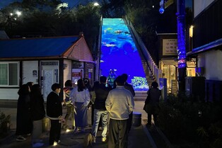 포항 '동백꽃 필 무렵' 촬영지에 야간 미디어아트 도입