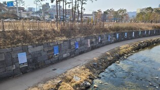 춘천 민예총 문학협회 '김건희 여사 풍자작품 철거' 반발