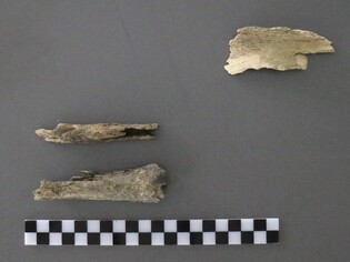 S. Korea identifies remains of another Korean War soldier