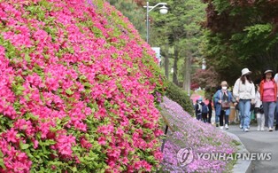 '미세먼지도 봄기운 못 막아'…축제장·유원지에 상춘객 북적
