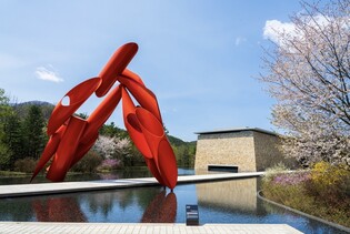 강원도서 별 보고 칵테일 만들고…백화점 밖으로 나간 문화센터