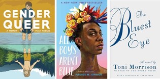 美 검열 요청 최다 서적 13권 중 절반 이상이 LGBTQ 콘텐츠