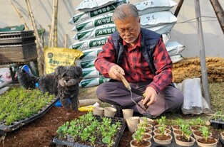 평산책방 文 키운 새싹 하루 100명씩 선착순 증정
