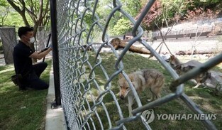 청주동물원에 천연기념물 자연방사 훈련장 조성