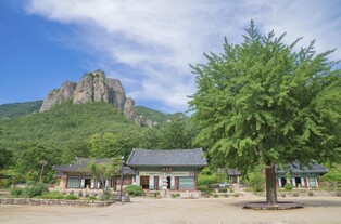 청송 주왕산 국립공원 대전사도 5월 4일부터 무료입장