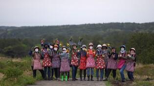 "꺾는 재미에 맛도 영양도 최고" 봄철 제주엔 '고사리 열풍'