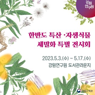 강원연구원, 한반도 특산·자생식물 세밀화 특별 전시회