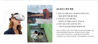 강릉시, 유기동물 입양 홍보에 메타버스 활용