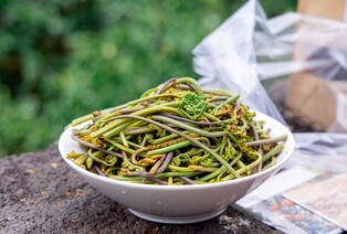 [다시! 제주문화] (58)"조상을 위한 음식"…제사의 시작과 끝 고사리