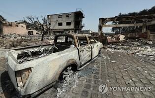 유명 유튜버 강릉 산불 피해 극복 돕기 나선다