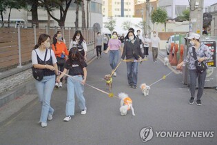 '서울 반려견 순찰대' 발대식…719팀 활동