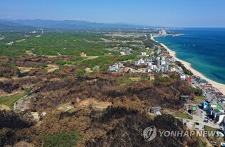 춘천 문화예술단체, 강릉 산불 피해복구 기부금 전달